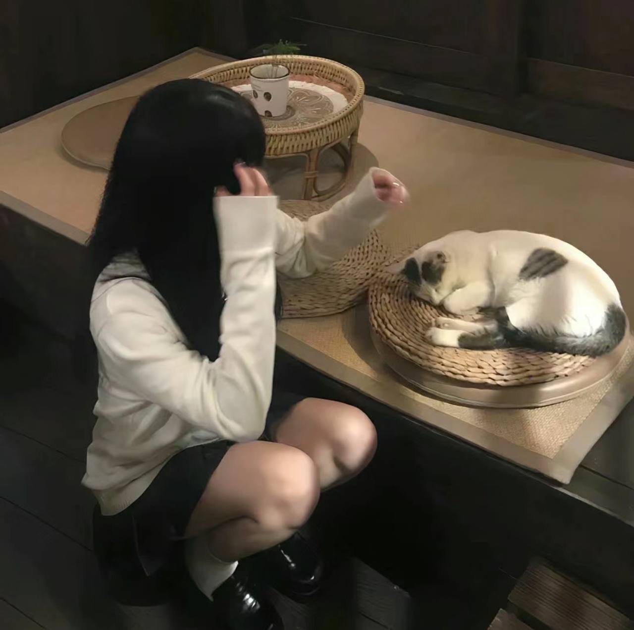 926454de的头像